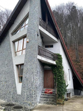 Villa Predeal
